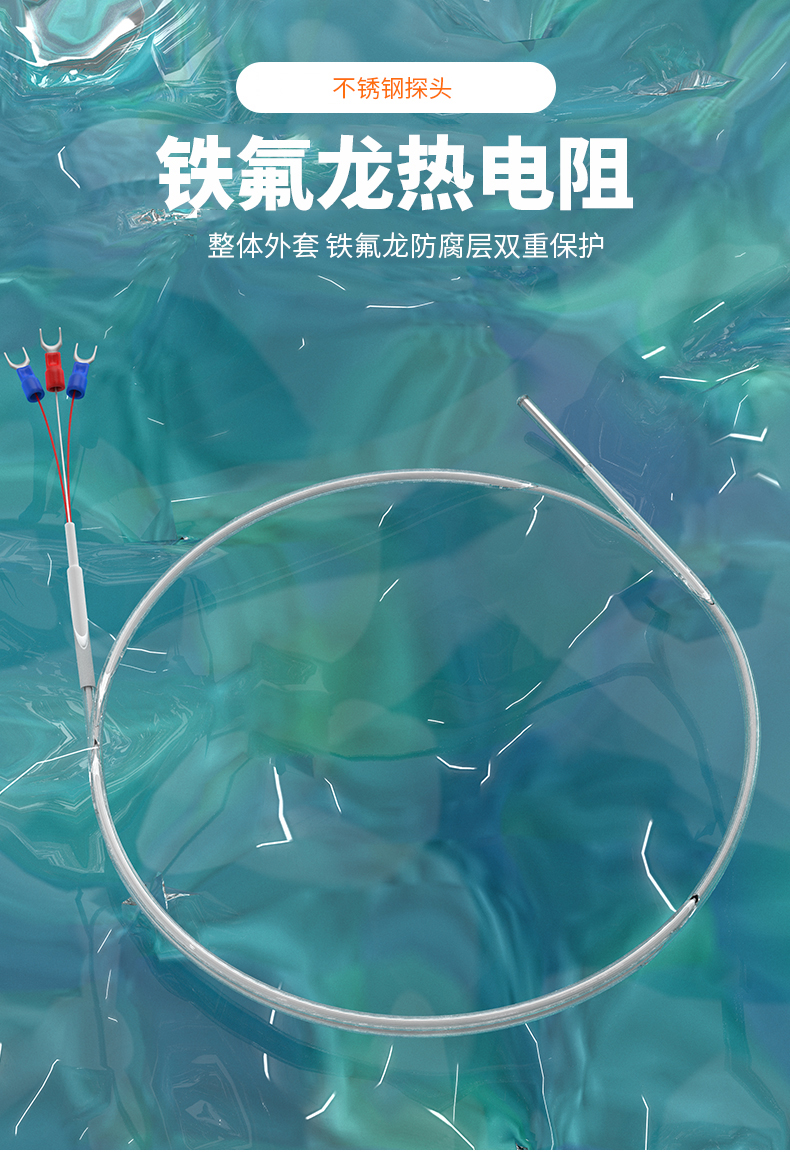 鐵氟龍熱電阻12_http://www.05257.cn_溫度儀表_第4張